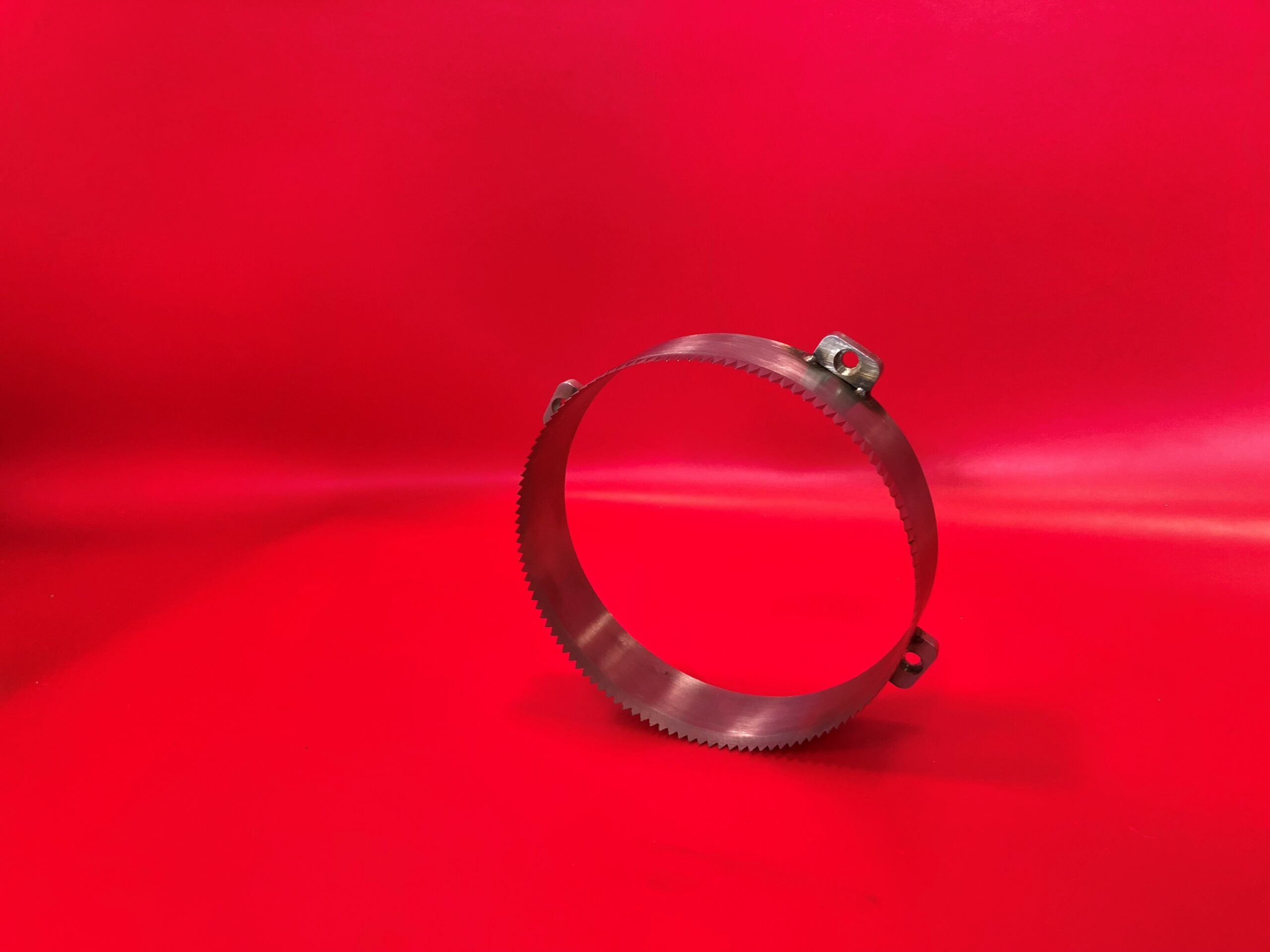 lame ronde operculeuse