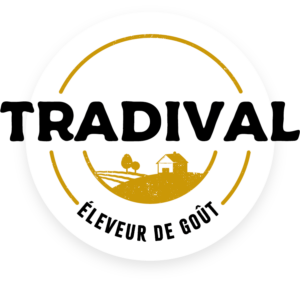 TRADIVAL_quadri-300x284